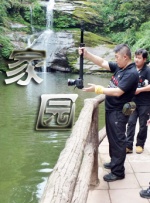 精力充沛的开花