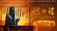 国产一区二区在线不卡