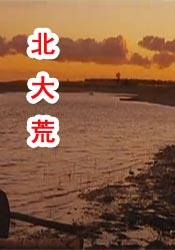 免费国产成人午夜在线观看